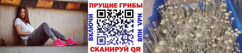 Галлюциногенные грибы мицелий  Зарайск 